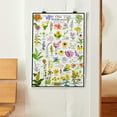 thumbnail image 3 of Ohio Wildflowers Poster - Native Prairie Blooms - Educational Science Chart of Ohio Flowers, 3 of 5
