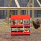 thumbnail image 3 of Chicken nesting box con lockable lid - 6 compartments, easy egg collection, leg red, protection, 3 of 6