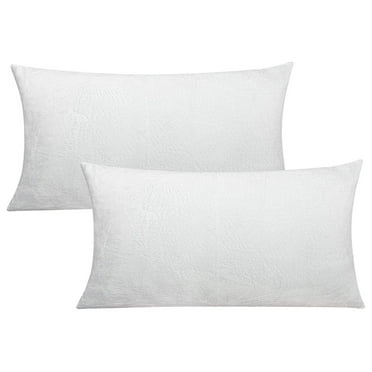 2 Pack King Zipped Velvet Pillowcases, Soft and Cozy Solid Decorative Pillow Cases with Hidden Zipper for Bedroom, Sofa, Couch, 20x36 Inches, White