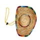 thumbnail image 1 of Mini Sombrero de paja para perros de compañía, Sombrero para gato, perro, sol, playa, fiesta, sombreros de paja para perros, accesorios M, 1 of 12