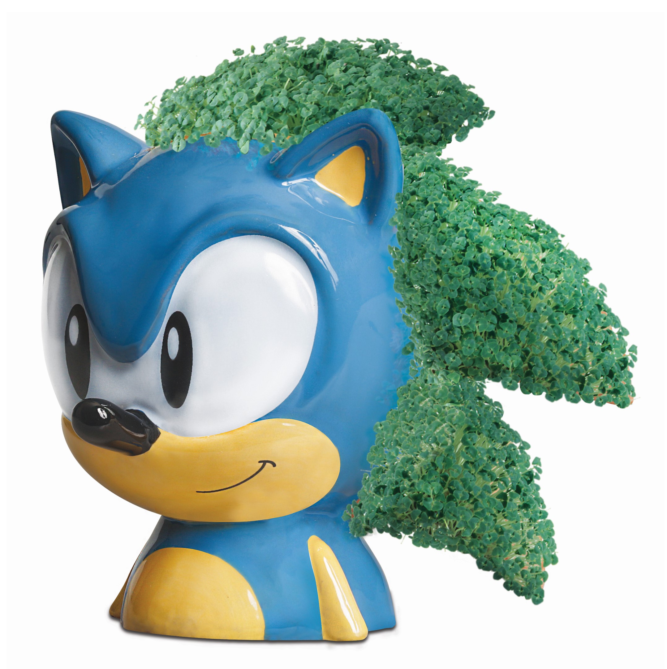 hedgehog chia pet walmart