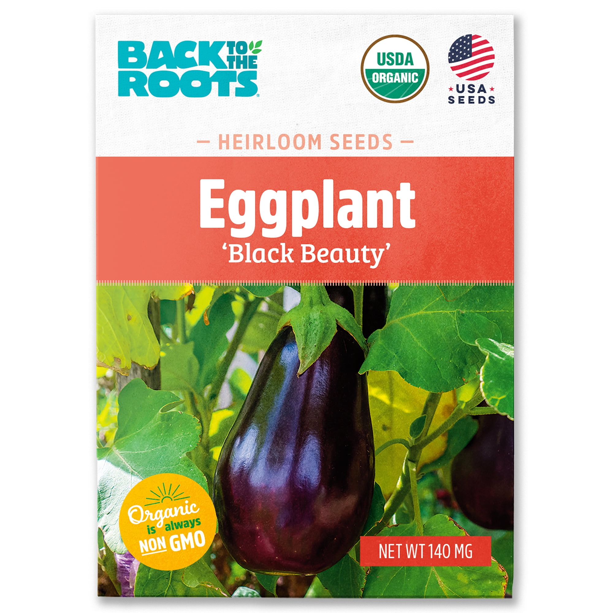 eggplantページ VIVALDI F1 | Eggplant - Pure Line Seeds