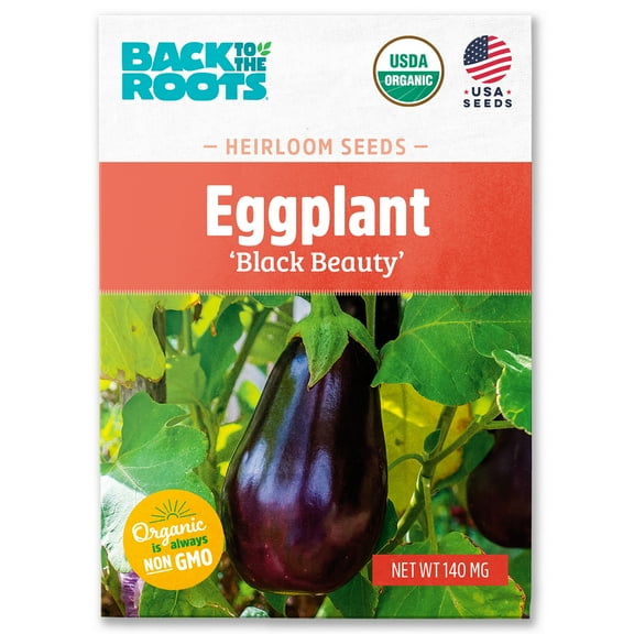 Back to the Roots Organic Eggplant 'Black Beauty', 1 Seed packet