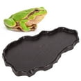 thumbnail image 4 of Reptiles Feeding Basin, NW-29 Basin Plastic Reptiles Feeder Dish, Feeding Dish For Reptiles Deep Coffee Color, 4 of 8