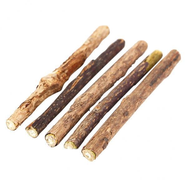 2x5Pcs Catnip Sticks Pasta De Dientes Natural Actinidia Polygama Cat Toy Salvador Palitos de hierba gatera