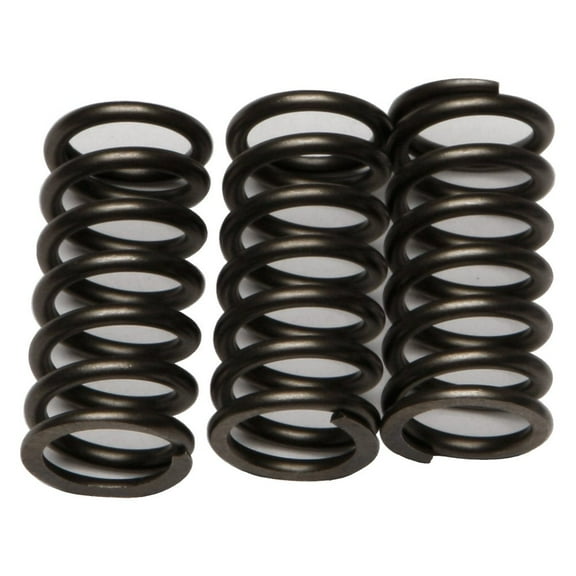EBC CSK203 - CSK Series Heavy Duty Clutch Spring Kit