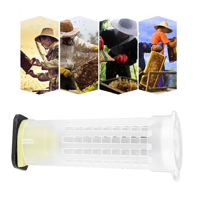 Queen Cage, Plastic Beekeeping Protector, 15PCS Anti-bite Bee Beekeeping for Rearing Cages Protectors