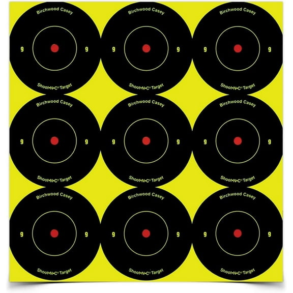BIRCHWOOD CASEY Shoot-N-C 2" Bull's-Eye Reactive Targets - Highly Visible Instant Feedback Self-Adhesive Shooting Target Stickers - 108 Targets