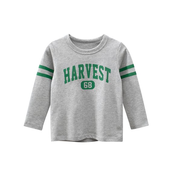 Beautyzll Kids Boys Long Sleeve Crewneck T-Shirts Shirt 1-9T Baby Toddler Basic T Shirt Tops Cartoon Cotton Tees