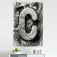 thumbnail image 1 of Letter C Tapestry, Rustic Look Alphabet C Letter Close up, Fabric Wall Hanging Decor for Bedroom Living Room Dorm, 5 Sizes, Taupe Grey Grey, by Ambesonne, 1 of 1