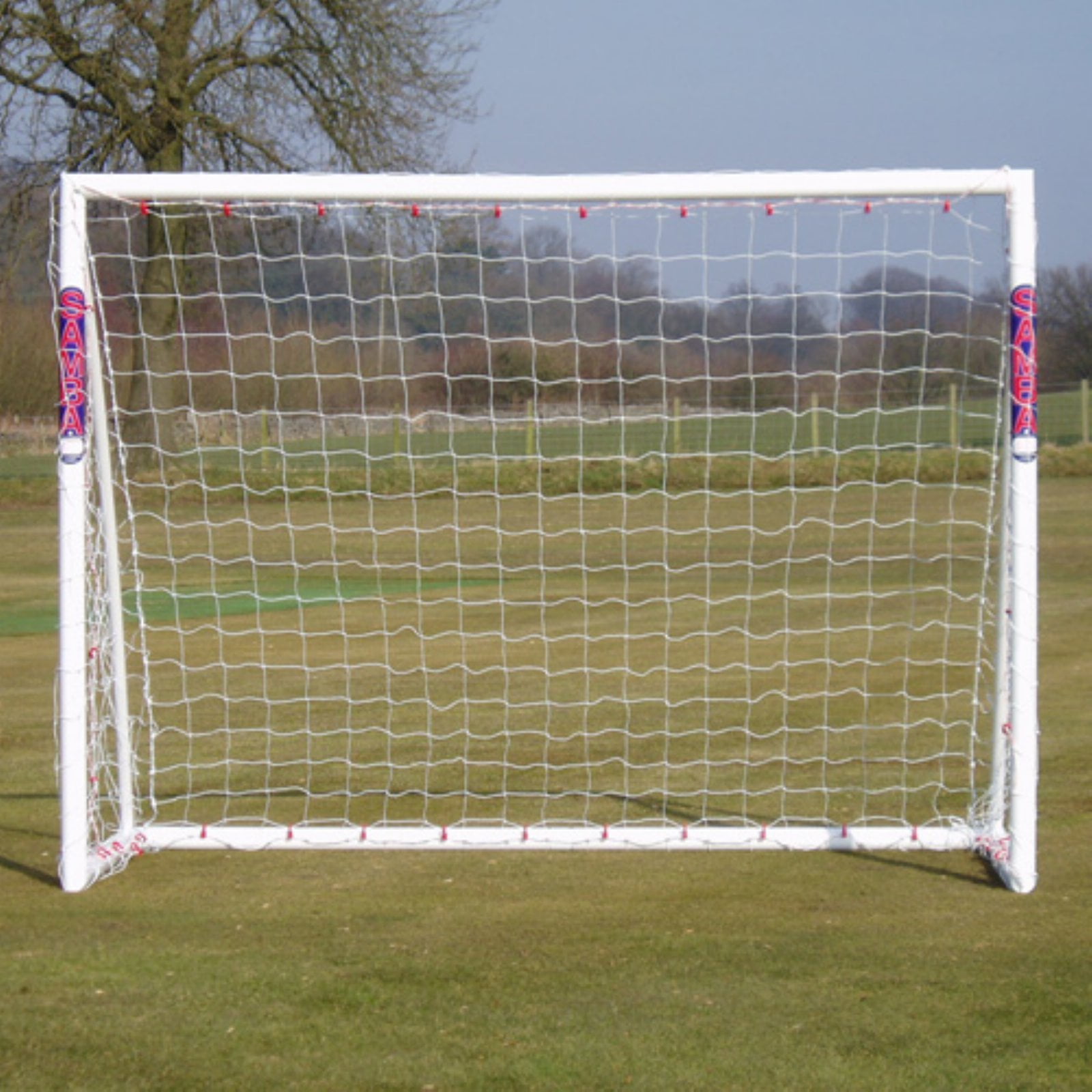backyard goal net