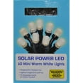 Solar LED Mini Lights, 60Count