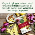 thumbnail image 6 of Traditional Medicinals Organic Throat Coat Lemon Ginger Echinacea - 16 Ct, 6 of 7
