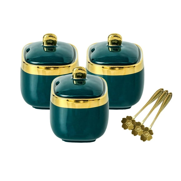 Tarro de cerámica para especias, caja de condimentos con tapa, recipiente de cocina de porcelana para condimentos tres frascos
