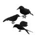 thumbnail image 3 of 3x Cuervos de Halloween Macarena Decoración hecha a mano Cuervo negro, 3 of 8