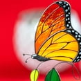 thumbnail image 4 of Butterfly Sun Catchers Colorful Chandelier Pendant Hummingbird Wall Hanging Tree Window Ornament (Charming Colors Butterfly Style) Flower Party Decorations, 4 of 5