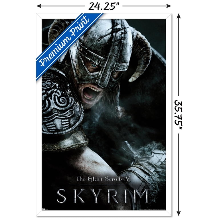 Poster Promozionale Raro The Elder Scrolls V: Skyrim - Formato 33x22 - Doppio Lato - Bethesda