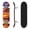 Color3, variant on 31"x8" Complete Skateboards for Beginners, Delicate Oil Painting Butterflies Glowing Lilies Pink Double Kick 7 Ply Canadian Maple Deck Skateboard with Wheels, Gifts for Kids Teens