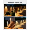 View all media