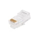 thumbnail image 1 of PLUG RJ45 CAT6 Ghia UTP CAJA C/100 PZAS, 1 of 2