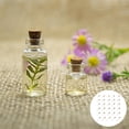 thumbnail image 6 of Bottles Glass Mini Tiny Small Cork Bottle Wish Jars Wishing Clear Containers Vials Empty Drifting Miniature Diy Charm, 6 of 6