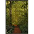 thumbnail image 1 of Somerset House Publishing 6235 Fairytale Path, Framed Giclee Canvas Art, 1 of 1