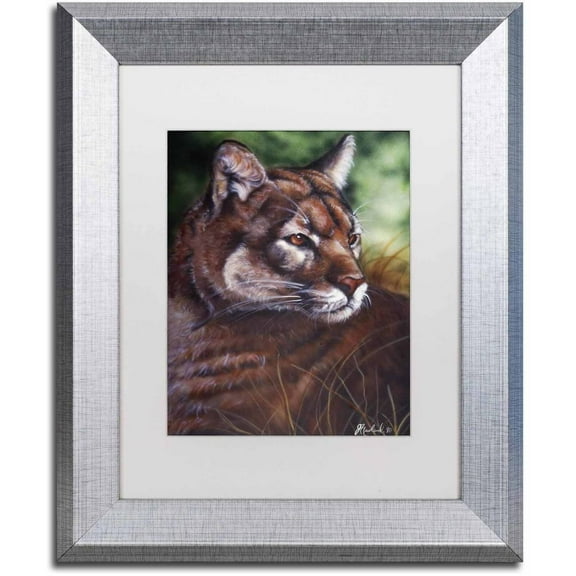 Trademark Fine Art 'Watchful Eyes II' Canvas Art by Jenny Newland, White Matte, Silver Frame