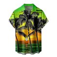 thumbnail image 1 of Camisas Para Hombre Slim Fit Camisa hawaiana de manga corta para hombre, camisa con estampado 3D de solapa de primavera y verano, camiseta de moda (Green, XXL), 1 of 3