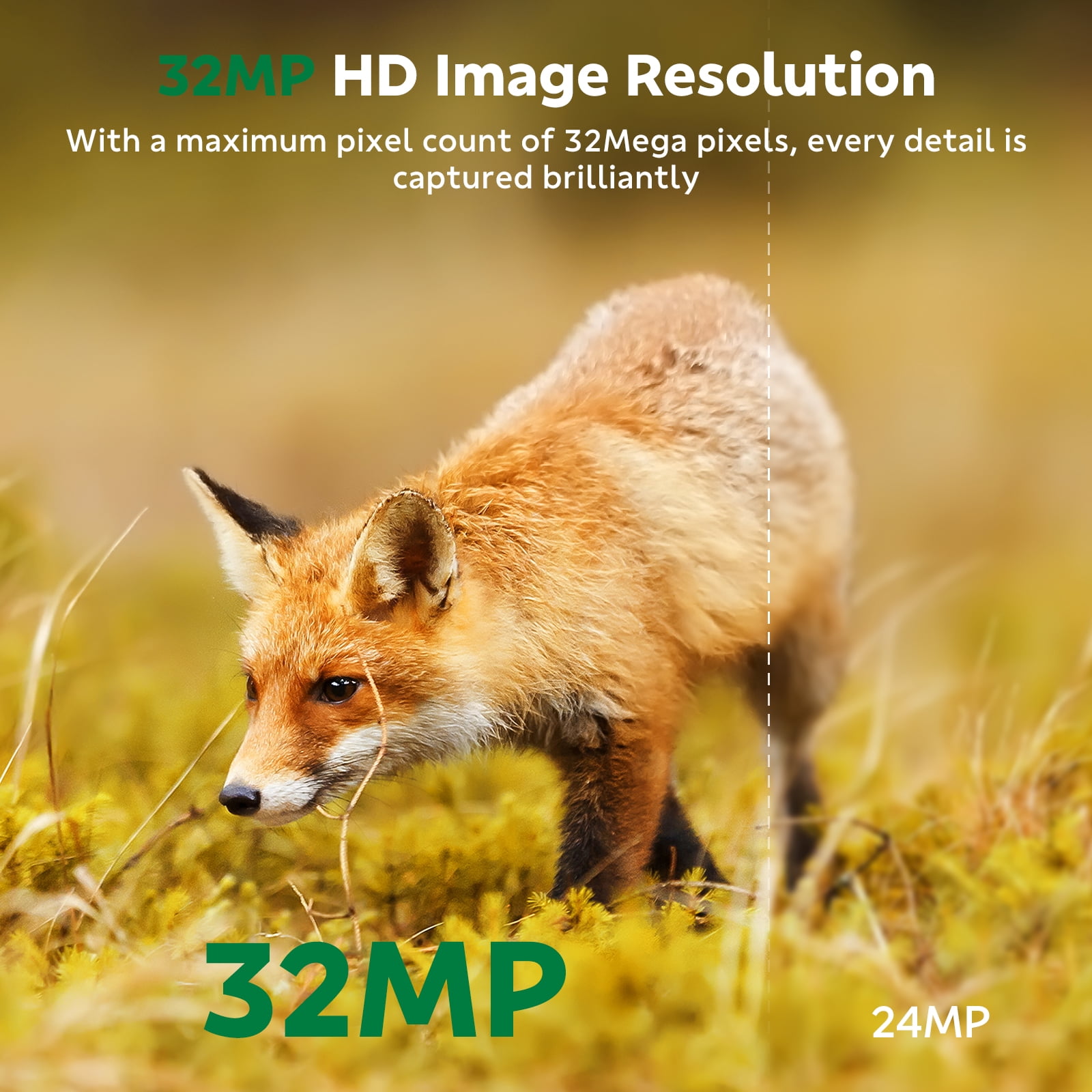 CAMPARK Trail Camera WiFi Bluetooth Game Deer Hunting Camera with Night Vision Waterproof IP66 0.1s Trigger Motion Activated Trail Cam 32MP 1080P 2.4" LCD Wildlife Camera