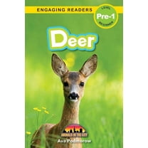Animals in the City Deer: Animals in the City (Engaging Readers, Level Pre-1), Book 3, (Paperback)