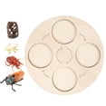 thumbnail image 1 of Ayudas para ñanza de Vida de Madera, Juguete Natural Educativo Temprano para Regalos Presentes, Pequeños, Y Niñas , Sunnimix Tablero de ciclo de vida, 1 of 5