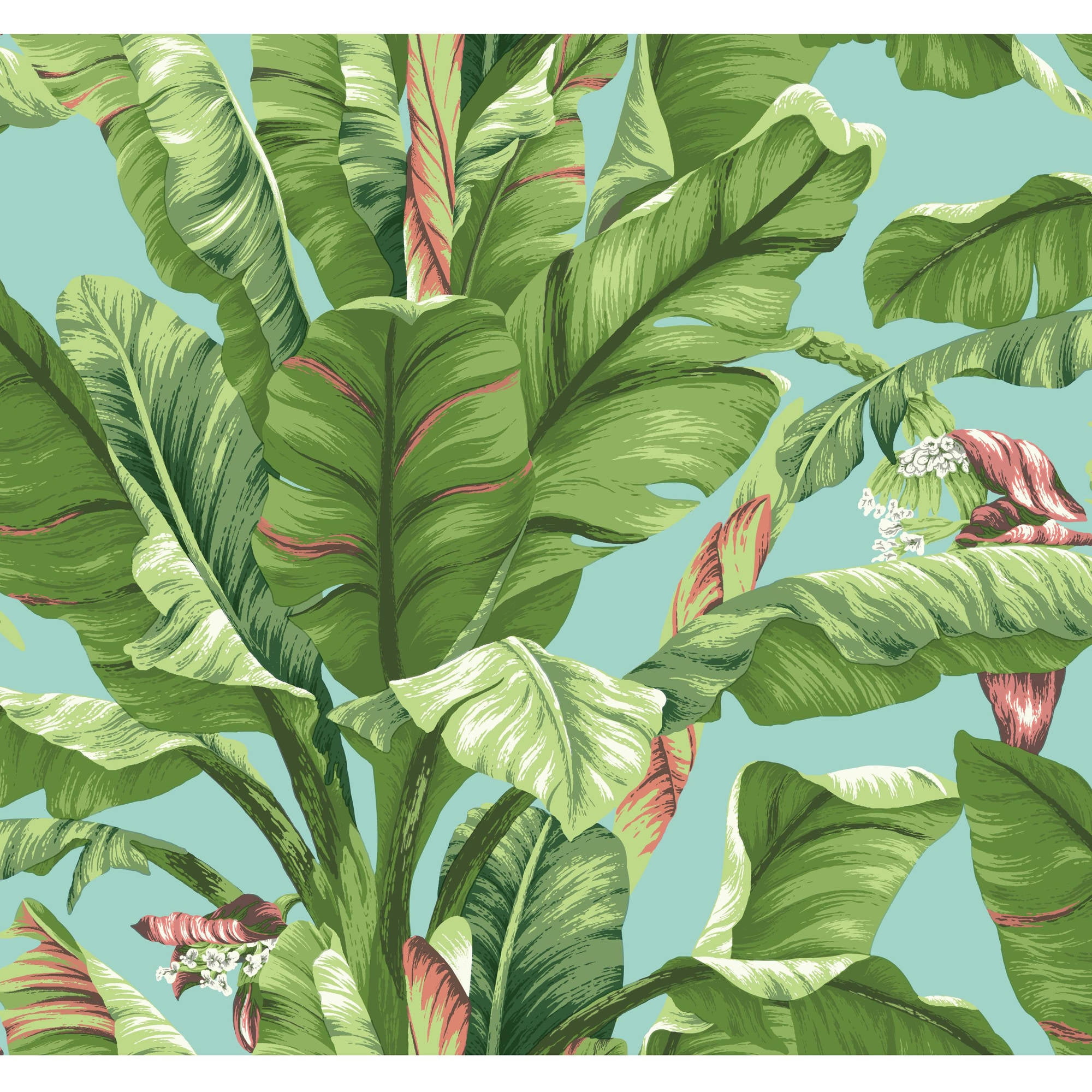 York Wallcoverings Tropics Banana Leaf Removable Wallpaper - Walmart