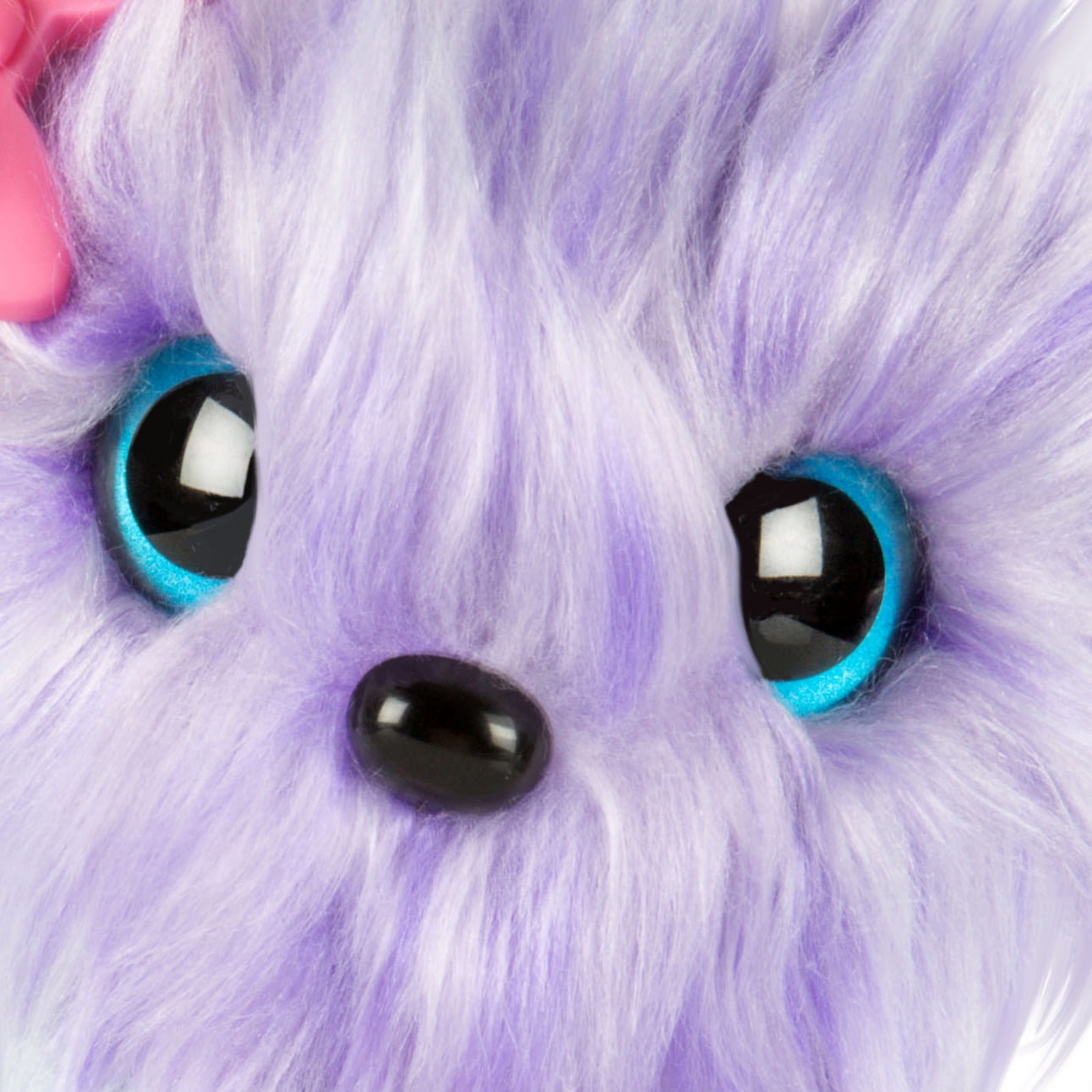 walmart scruff a luv