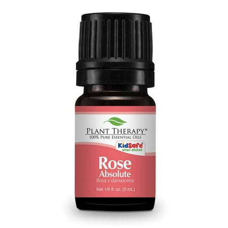 Plant Therapy Rose Absolute Essential Oil 5 mL (1/6 fl. oz.) 100% Pure, Undiluted, Therapeutic Grade Plant Therapy Rose Absolute Essential Oil 5 mL (1/6 fl. oz.) 100% Pure, Undiluted, Therapeutic Grade