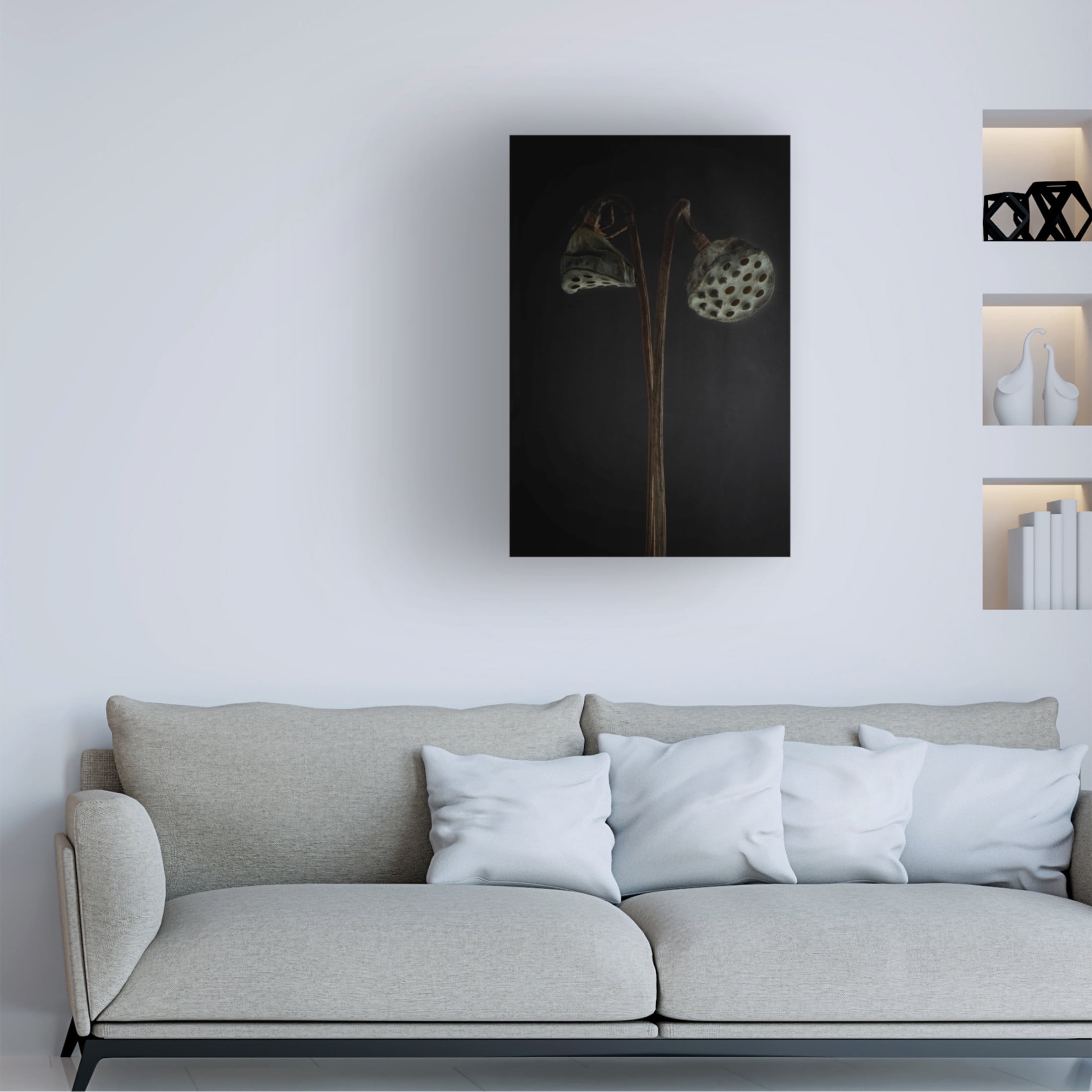 Canvas Wall Art - Lotte Gronkjar 'Lotus Heads  Dried' Wall Art for Living Room, Bedroom, or Office Décor by Trademark Fine Art - 12 x 19 Inches