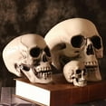 thumbnail image 7 of Sylvtty Halloween Skull Head Decor Plastic Realistic Human Skull Figurine for Graveyard Scene Haunted House Bar Home Table Decorations, 7 of 7