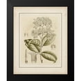 thumbnail image 2 of Curtis 12x14 Black Modern Framed Museum Art Print Titled - Tinted Botanical III, 2 of 5