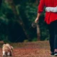 thumbnail image 3 of Correa Para Perros, 8m Mascota Correa Retractil Perro Correa, 3 of 7