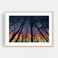 thumbnail image 2 of View From The Bottom Of The Forest Trees - Digital Art Silhouette Sunset Forest Nature Woodland Scenic Unframed Wall Art Print 16 x 20 inches, 2 of 12