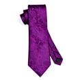 thumbnail image 3 of HISDERN Paisley Ties for Men Solid Tie Handkerchief Floral Men's Necktie & Pocket Square Set,Eggplant, 3 of 7