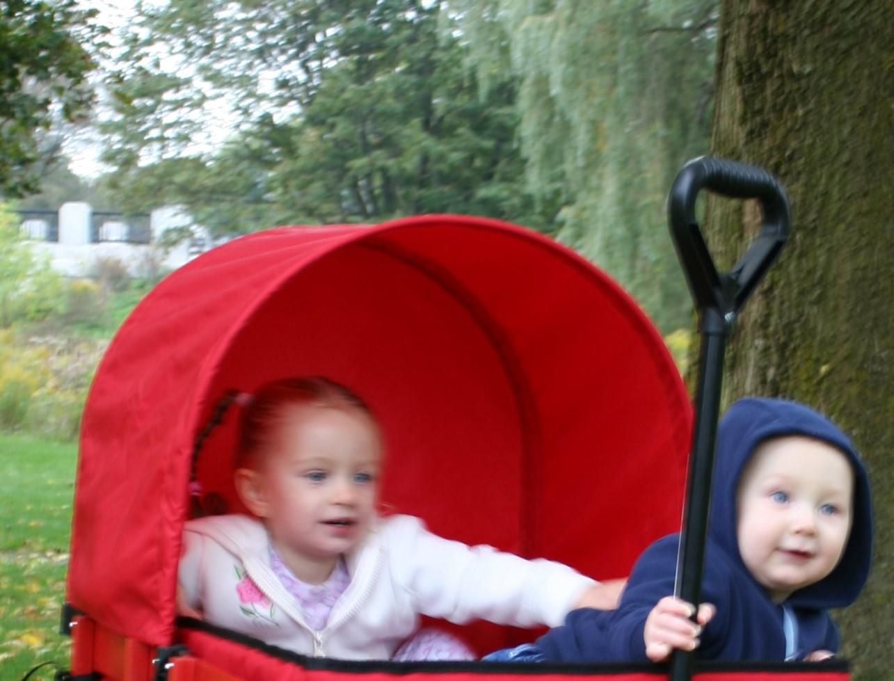 Cet disponibles Millside couvrant grand chariot de 20 po x 38 po.