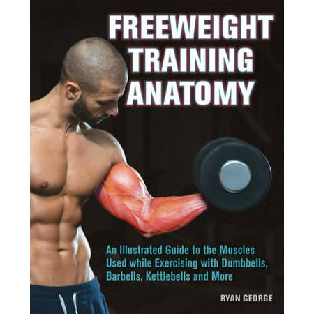 Freeweight Training Anatomy : An Illustrated Guide to the Muscles Used While Exercising with Dumbbells, Barbells, and Kettlebells and
