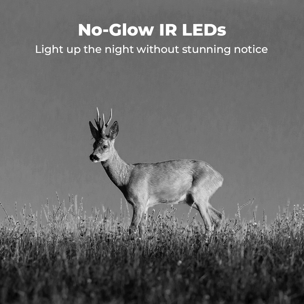 Reolink 4G 2K ProHD , Cellular Trail Camera Wireless Outdoor, 3G/4G LTE, Solar Powered Game Camera with 360° Pan Tilt, 2K Night Vision, Smart Motion Activated, No WiFi, Ranger Series with Solar Panel