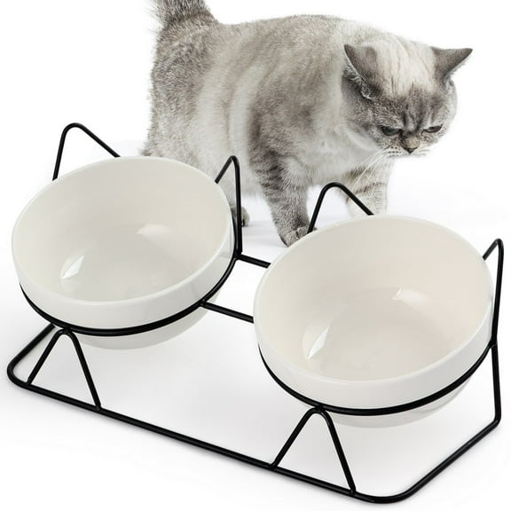 2Pcs Ceramic Cat Bowls with Stand, Elevated Cat Feeder Anti-Vomiting Cat Bowls, Tilt-Design Raised Cat Food Dishes, 2-In-1 Cat Plates for Food & Water
