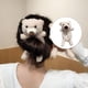 thumbnail image 3 of Bonitas gomas elásticas para el pelo, de peluche, para niñas y mujeres. Beige, 3 of 9