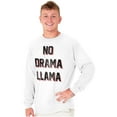 thumbnail image 3 of No Drama Llama Alpaca Chill Relaxed Long Sleeve TShirt Men Women Brisco Brands S, 3 of 6