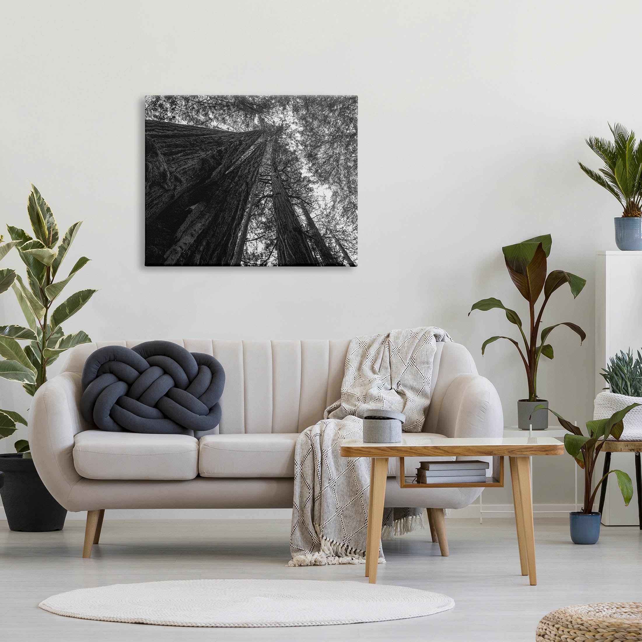 Stupell Industries Sky High Tree Looming Photograph Gallery Wrapped Canvas Print Wall Art, Design by Aaron Matheson