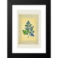 thumbnail image 2 of John H. Ingram 13x18 Black Modern Framed Museum Art Print Titled - Leaves from the Way Side (1869), 2 of 5
