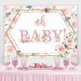 thumbnail image 2 of Pink Roses And Golden Frame Baby Shower Backdrop, 2 of 6