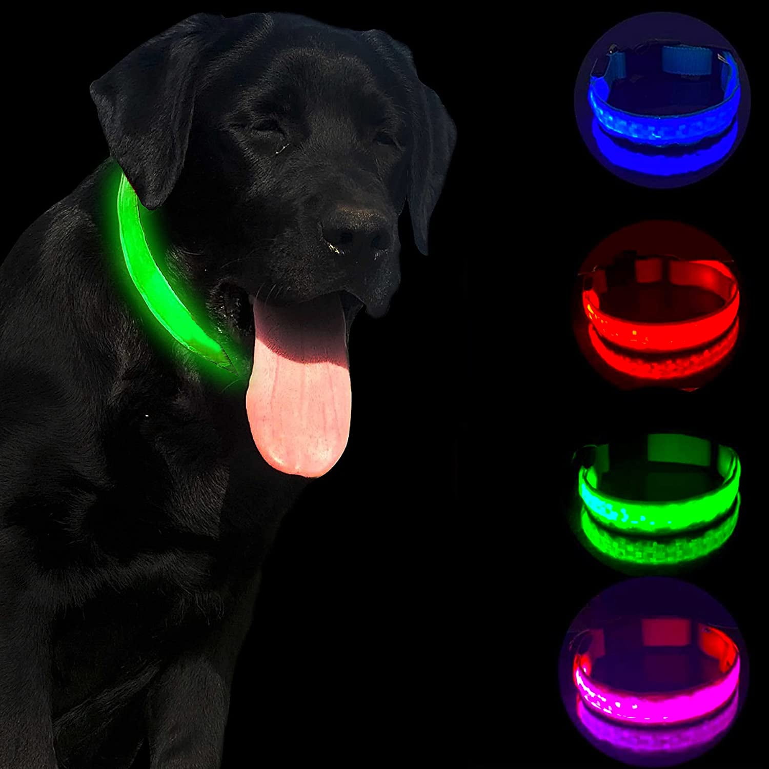 Dog collar light walmart Clearance